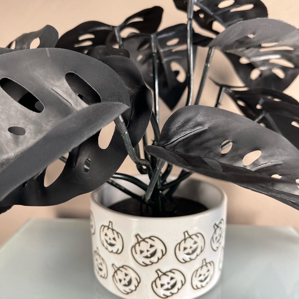 Goth Decor Potted Plant